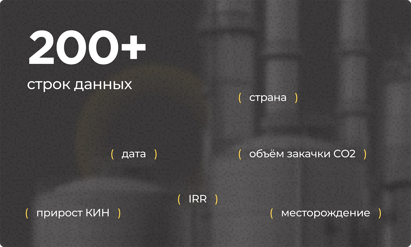 Программное обеспечение Карбостим