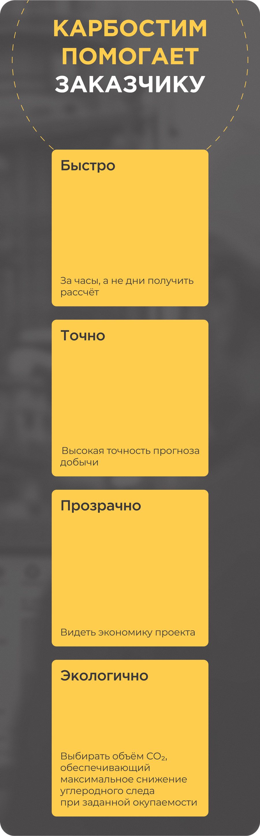 Программное обеспечение Карбостим