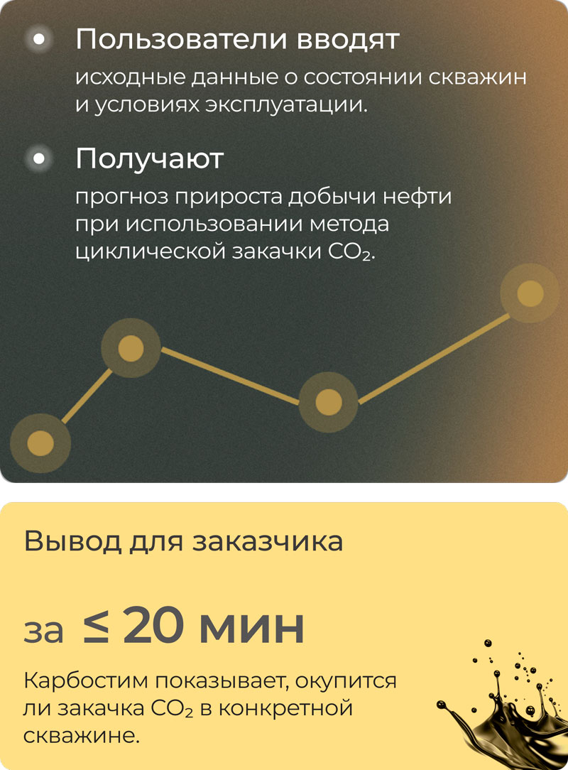 Программное обеспечение Карбостим